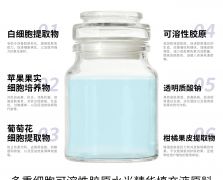多重细胞可溶性胶原水光精华填充液原料